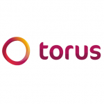 Torus Group